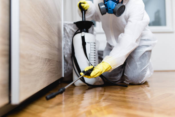 Best Emergency Pest Control  in Pulaski, NY
