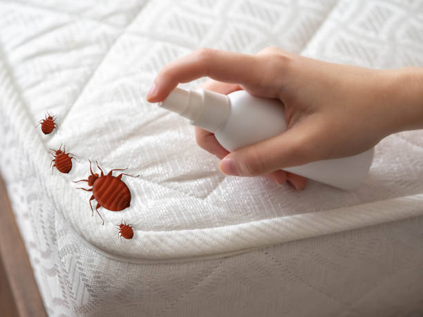 Best Pest Control Near Me  in Pulaski, NY