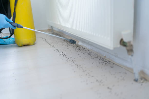 Professional Pest Control in Pulaski, NY