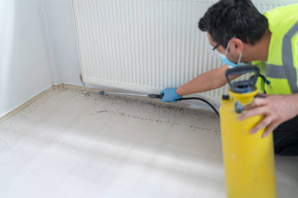 Best Local Pest Control Services  in Pulaski, NY